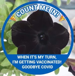 Meet your Posher, Laura